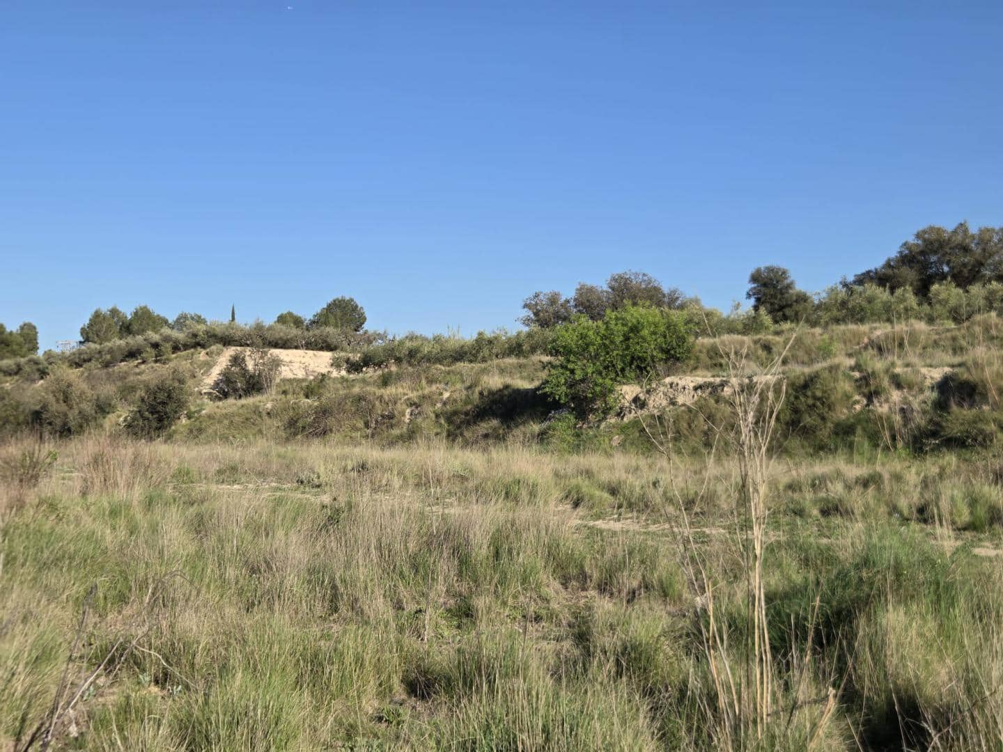 Ubebygd land til salgs i Montaberner - € 52 000 (Ref: 9784339)