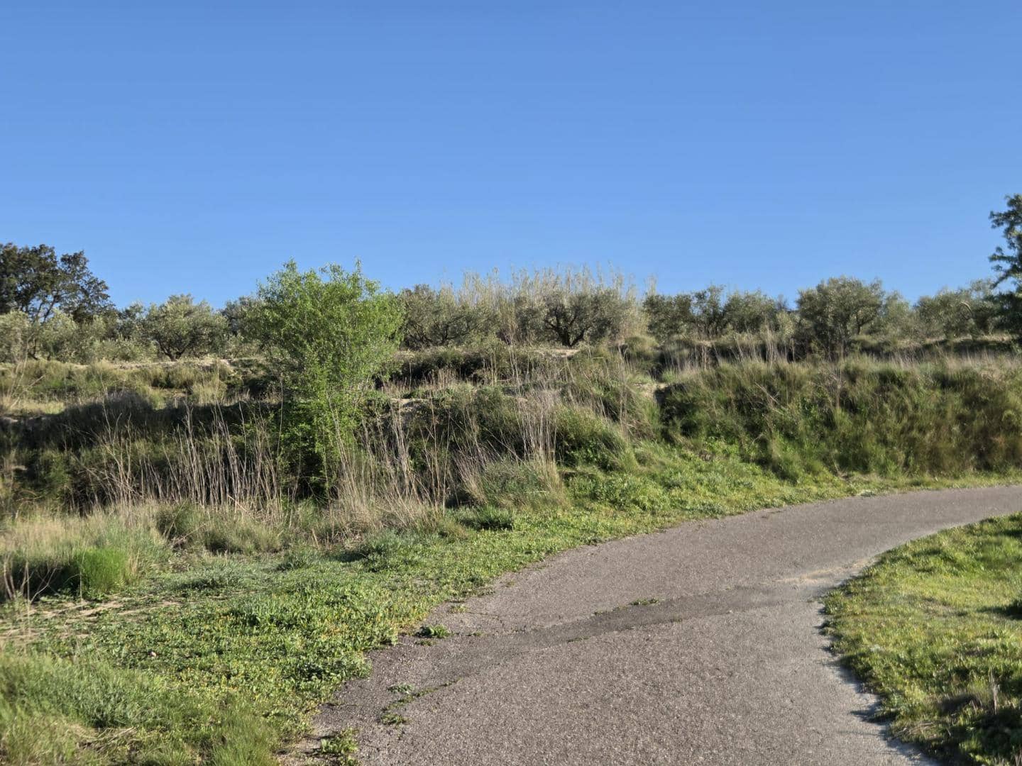 Ubebygd land til salgs i Montaberner - € 52 000 (Ref: 9784339)