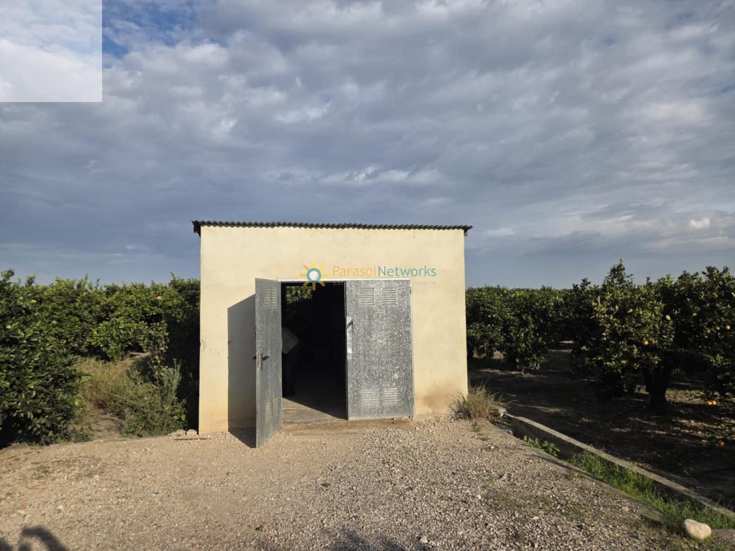 Mark till salu i Senyera - 53 000 € (Ref: 9787857)