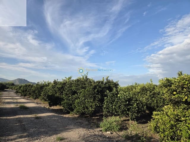 Mark till salu i Senyera - 53 000 € (Ref: 9787857)