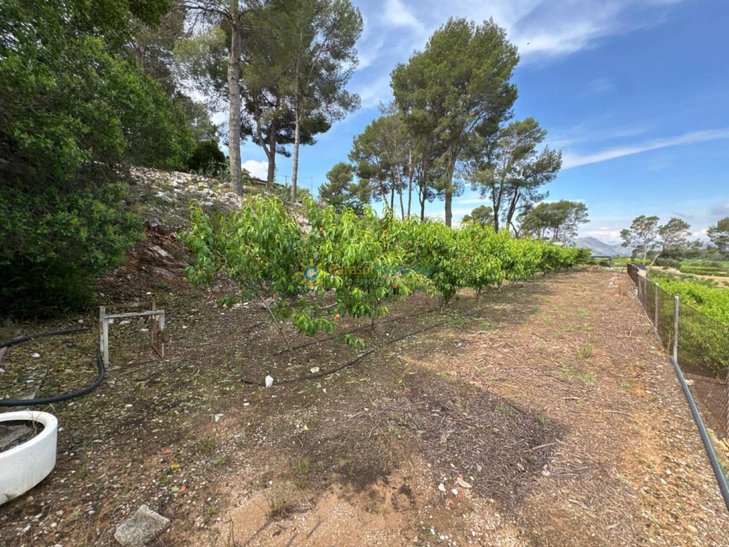 Undeveloped Land for sale in La Font d'En Carros - € 73,000 (Ref: 9789507)