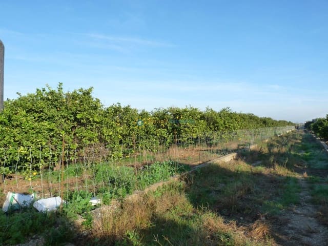 Solar/Parcela en Oliva Pueblo, Oliva en venta - 120.000 € (Ref: 9789721)