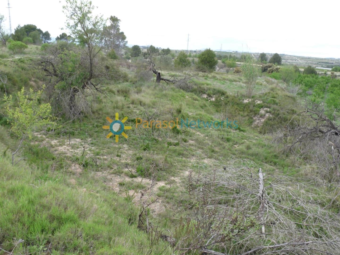 Grunde uden byggetilladelser til salg i Castello de Rugat - € 35.000 (Ref: 9789826)