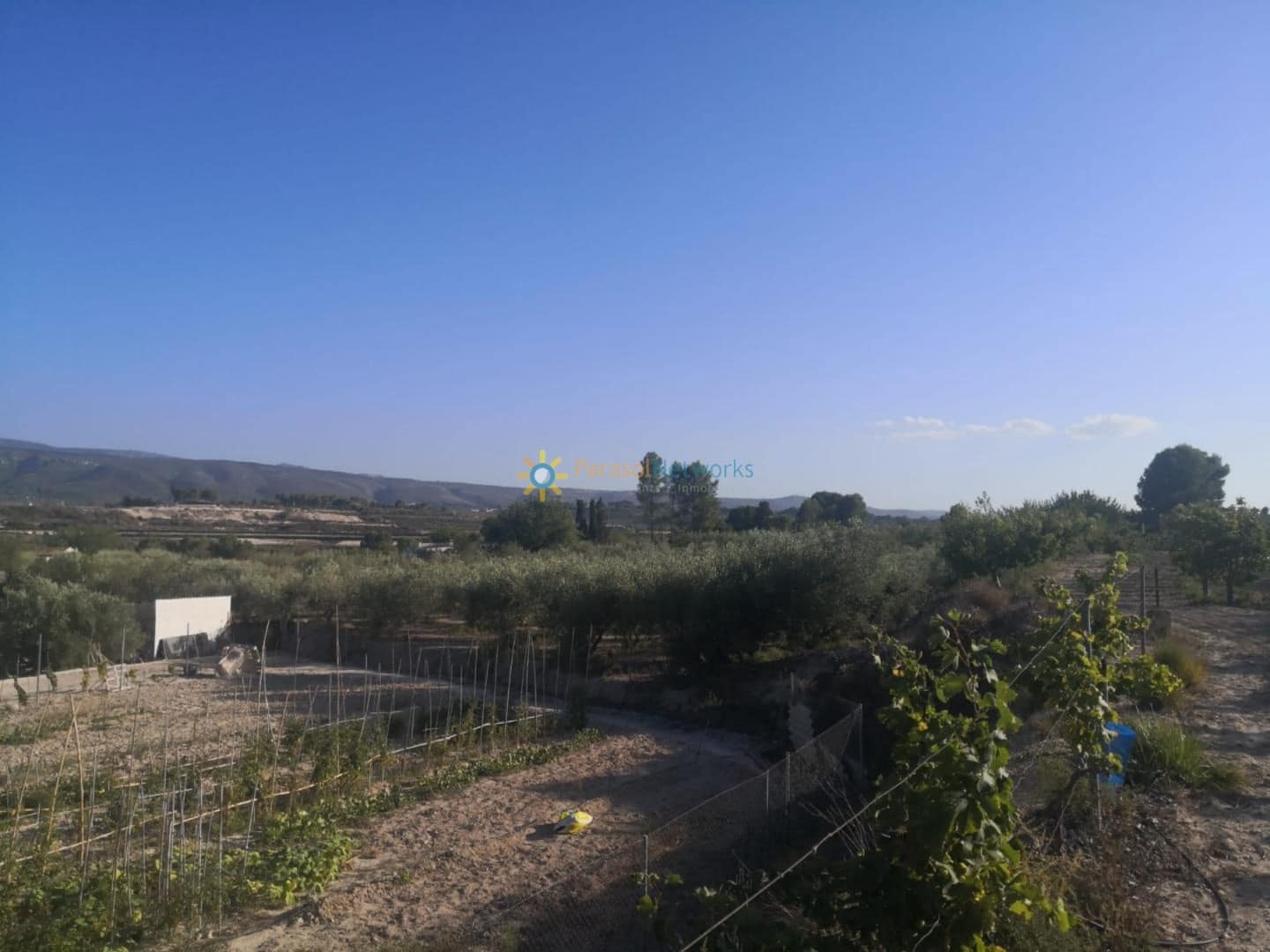 Ubebygd land til salgs i Albaida - € 100 000 (Ref: 9793051)