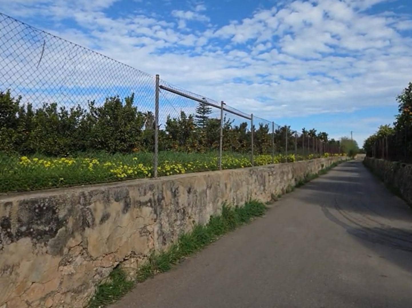 Ubebygd land til salgs i Gandia - € 35 000 (Ref: 9793750)