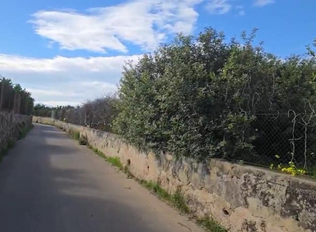 Ubebygd land til salgs i Gandia - € 35 000 (Ref: 9793750)