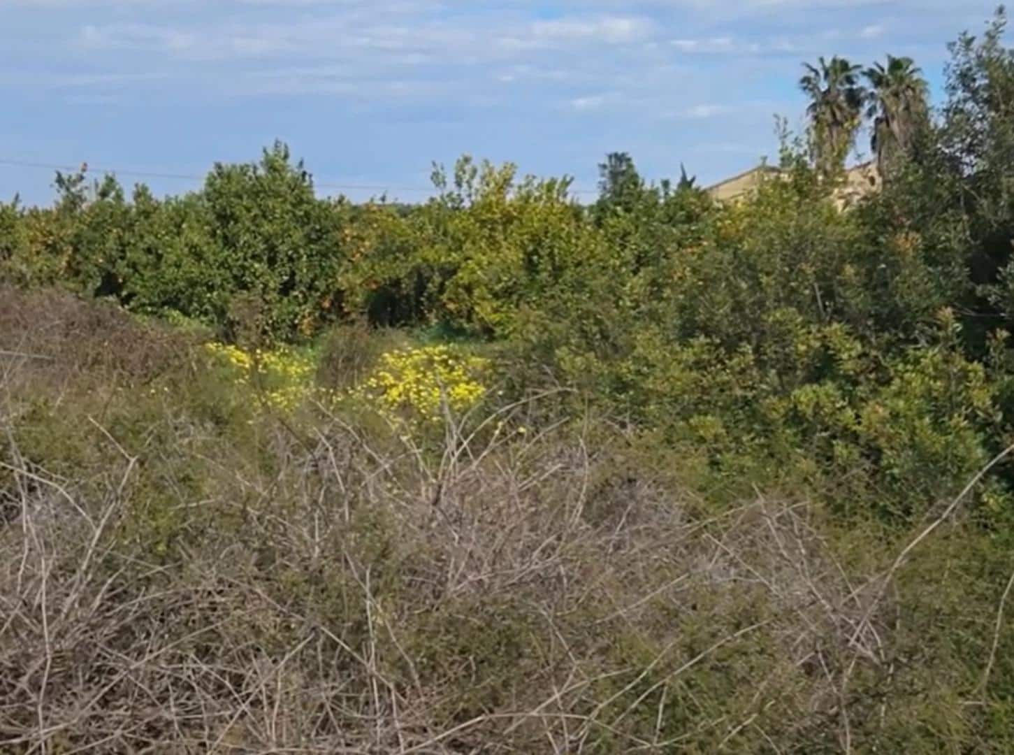 Ubebygd land til salgs i Gandia - € 35 000 (Ref: 9793750)