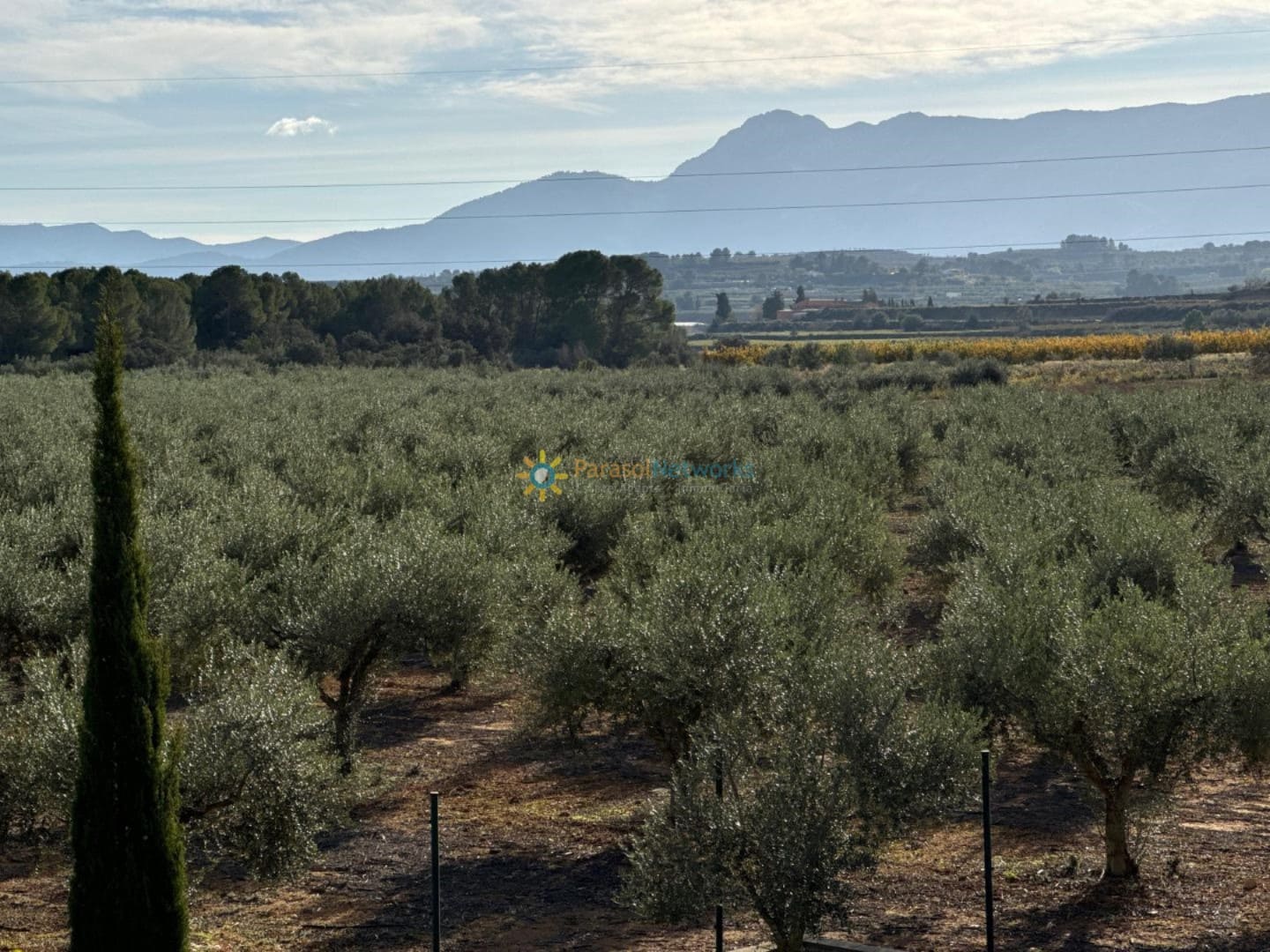 2 bedroom Villa for sale in Palomar - € 138,000 (Ref: 9794981)