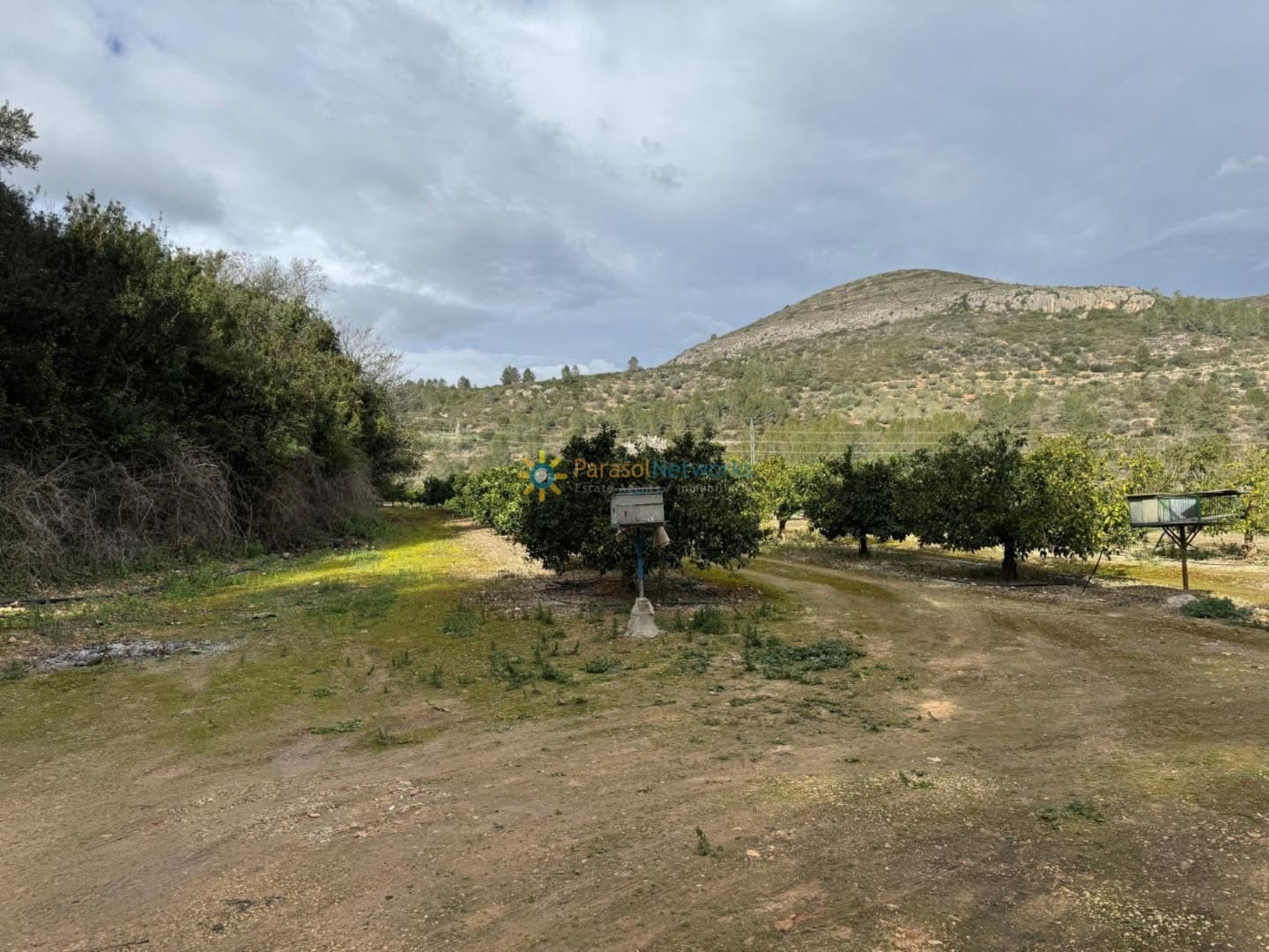Ubebygd land til salgs i Beniganim - € 29 000 (Ref: 9798342)