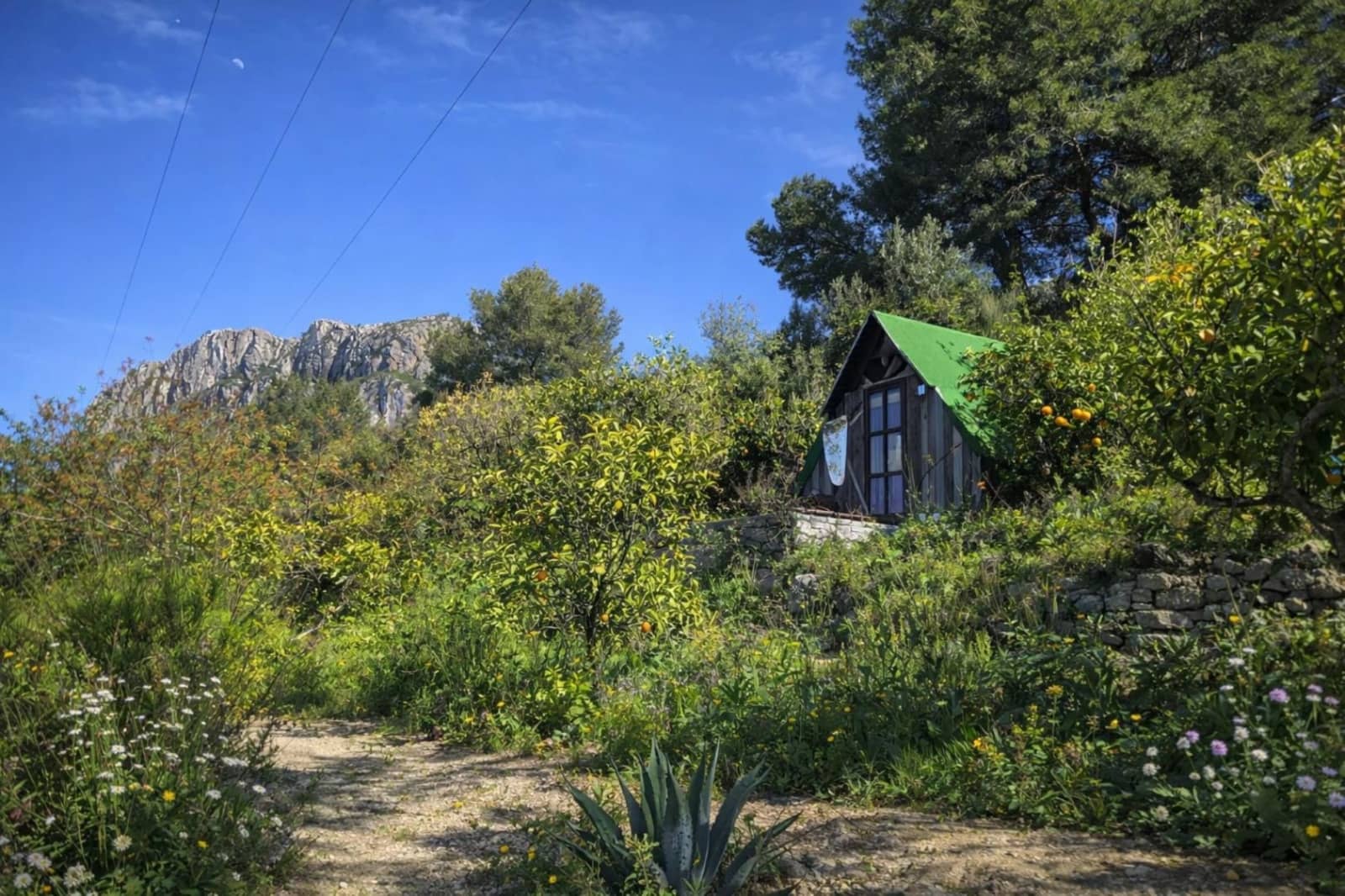 Terreno para Construção para venda em Benimeli - 83 000 € (Ref: 9798343)