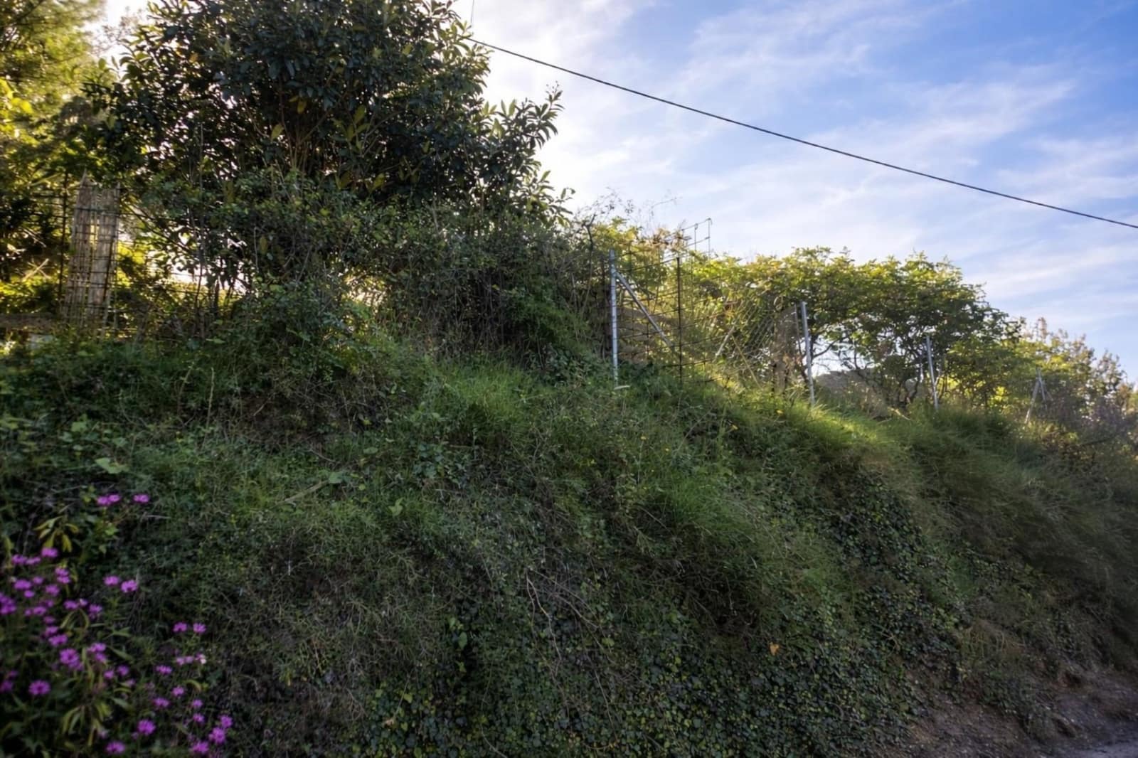 Terreno para Construção para venda em Benimeli - 83 000 € (Ref: 9798343)