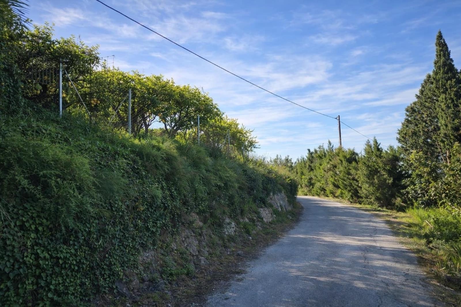 Terreno para Construção para venda em Benimeli - 83 000 € (Ref: 9798343)