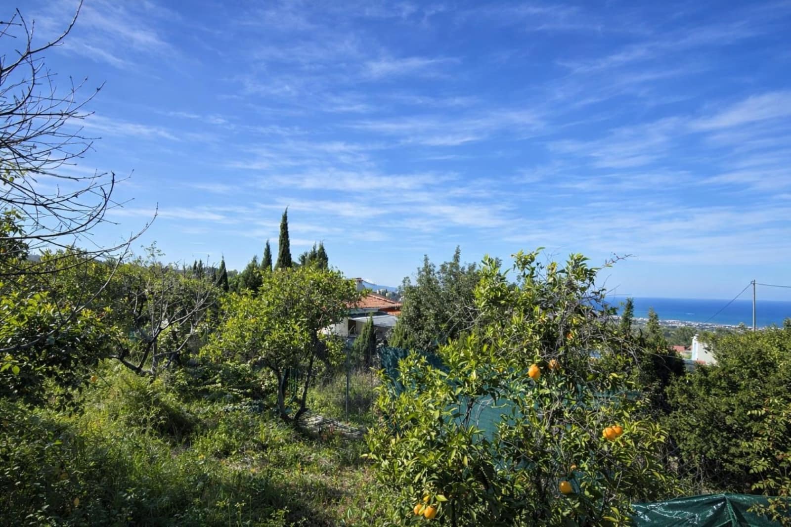 Terreno para Construção para venda em Benimeli - 83 000 € (Ref: 9798343)