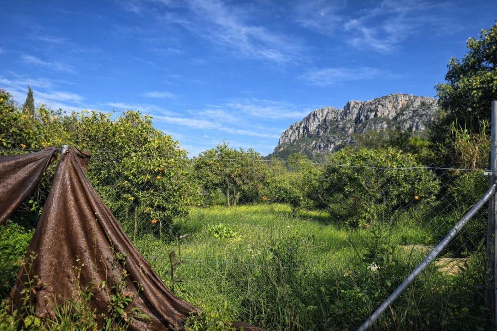 Terreno para Construção para venda em Benimeli - 83 000 € (Ref: 9798343)