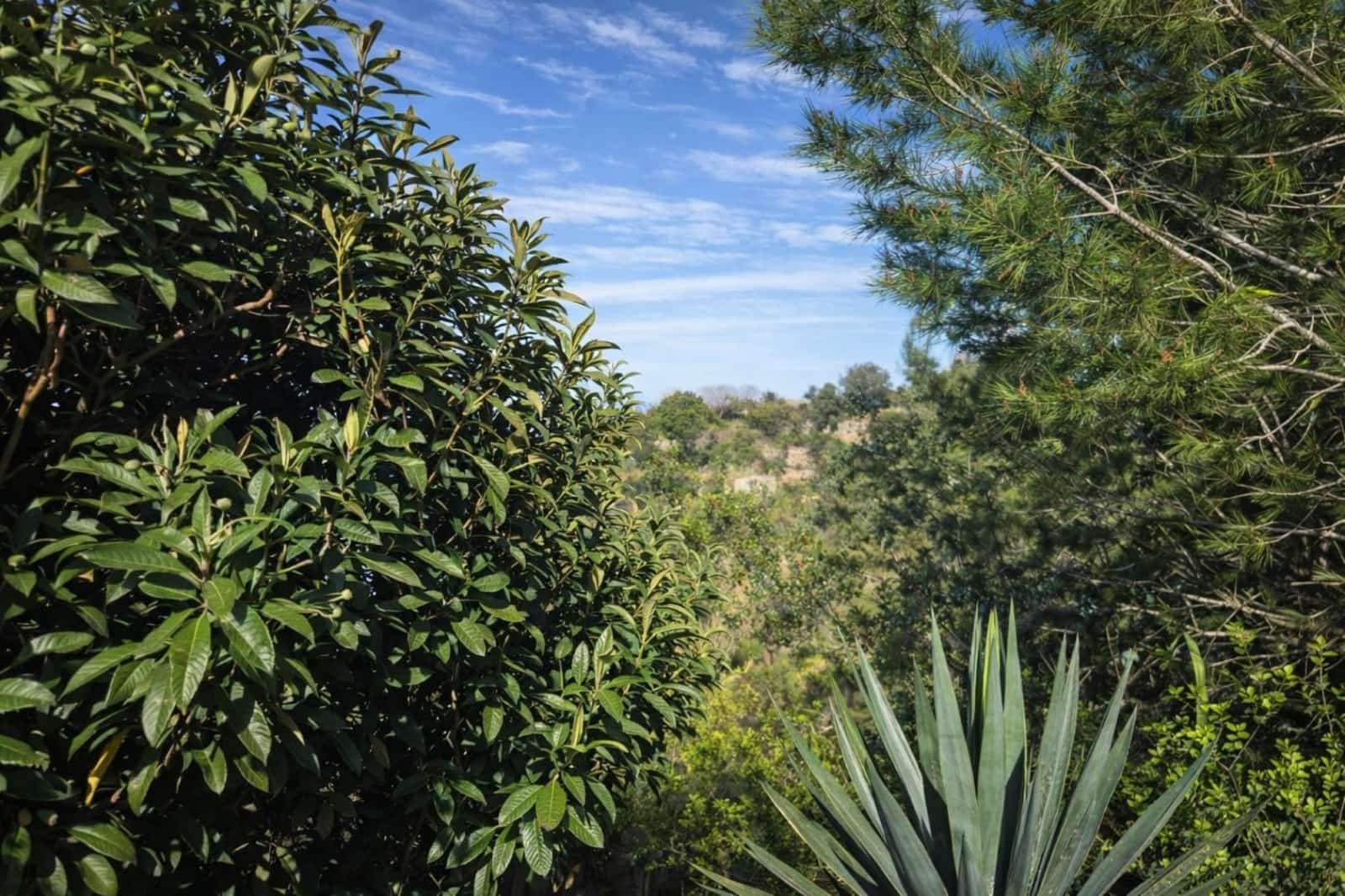 Terreno para Construção para venda em Benimeli - 83 000 € (Ref: 9798343)