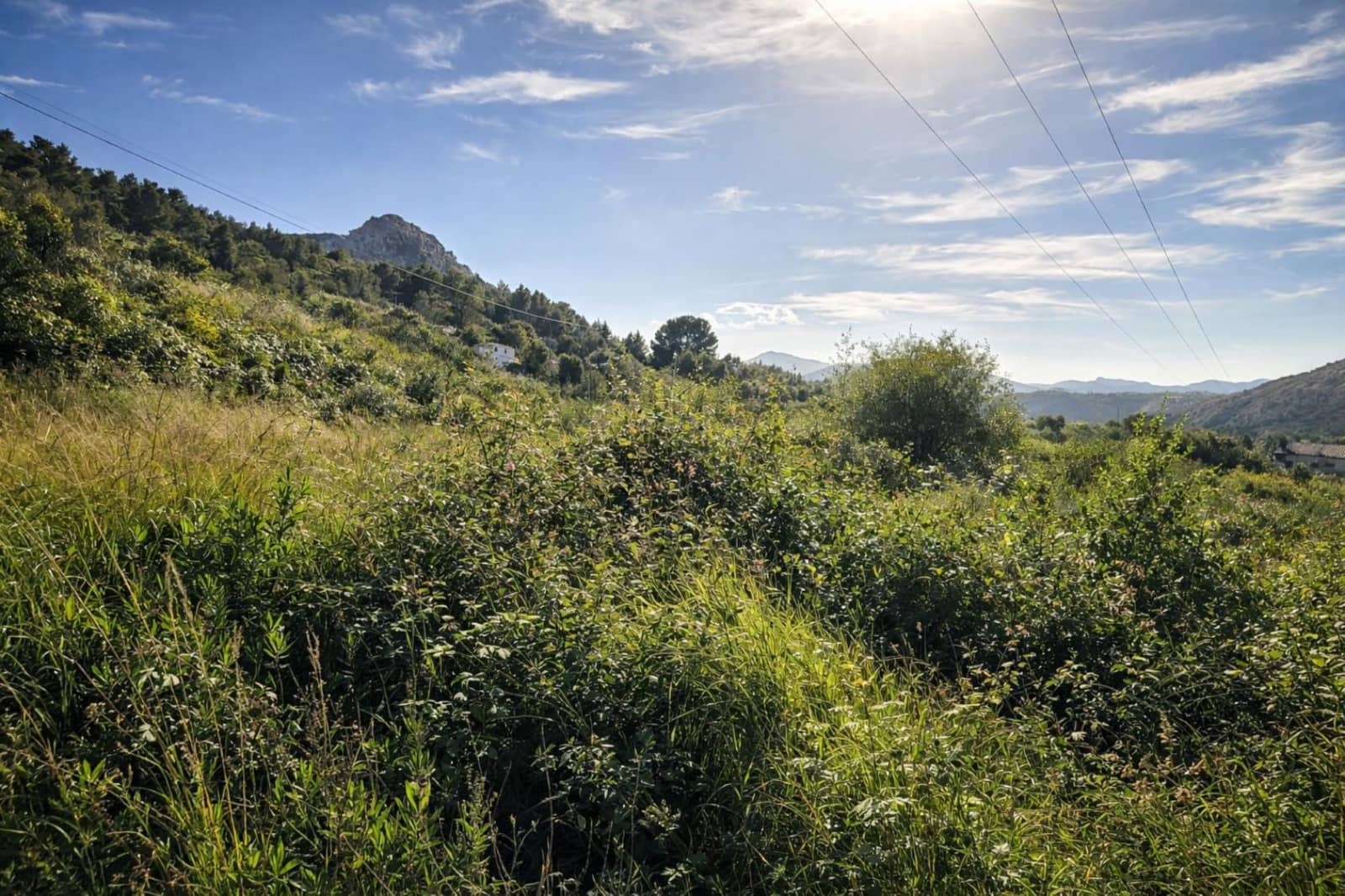 Terreno para Construção para venda em Benimeli - 83 000 € (Ref: 9798343)