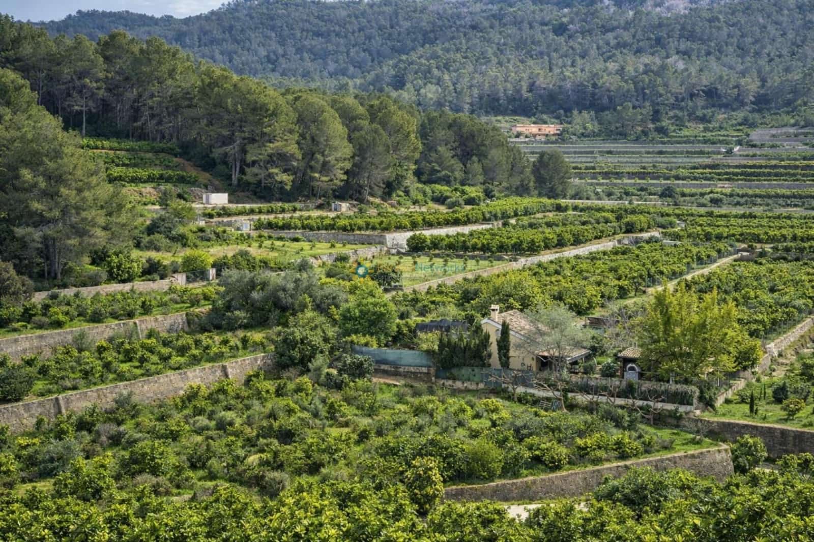 Villa in vendita in Alfauir - 130.000 € (Rif: 9804889)