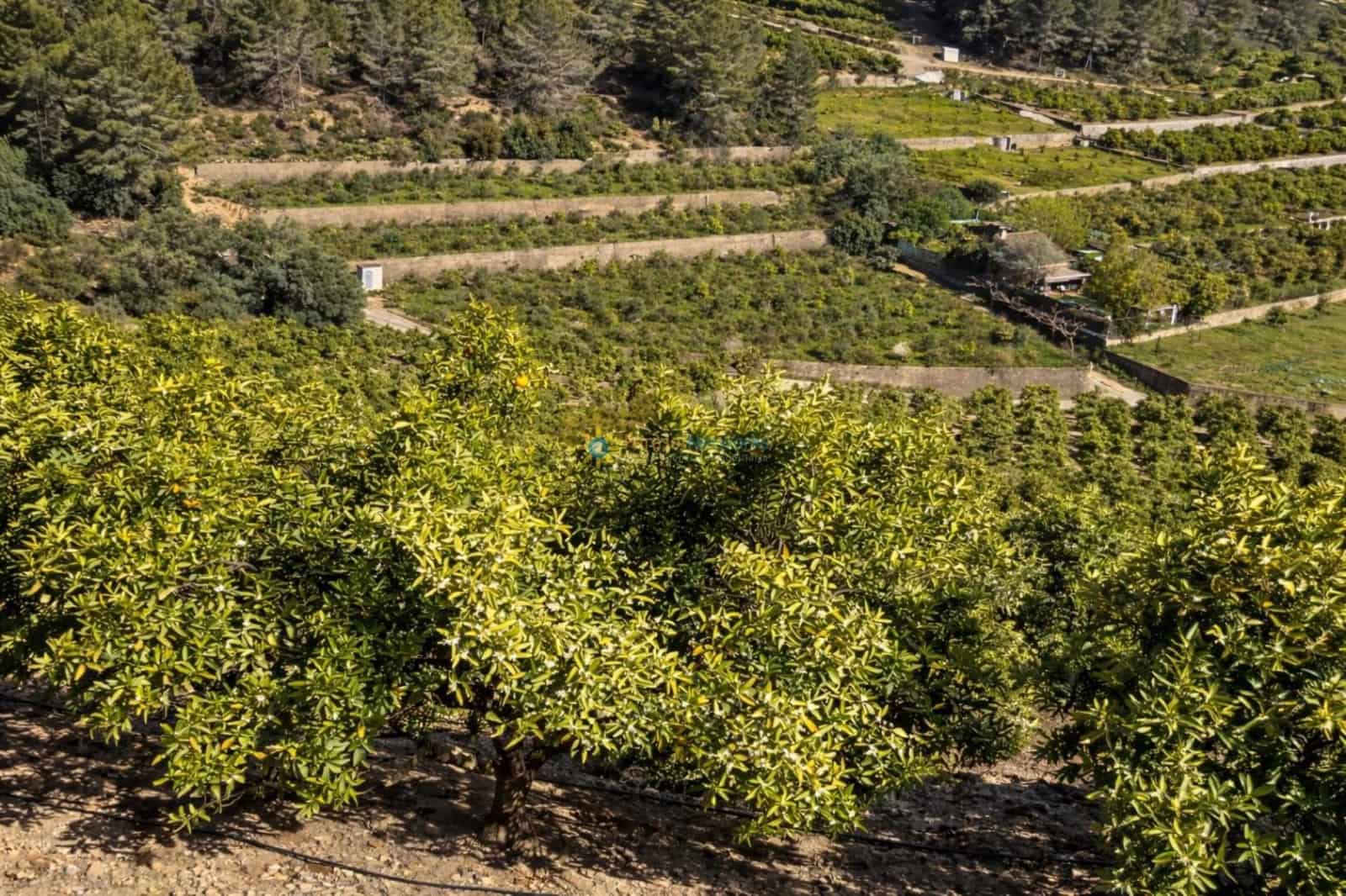 Villa in vendita in Alfauir - 130.000 € (Rif: 9804889)