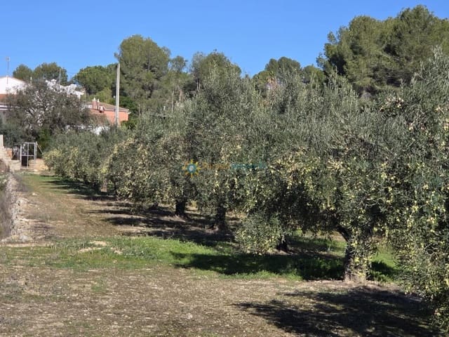 Mark till salu i Benigánim - 42 000 € (Ref: 9805659)