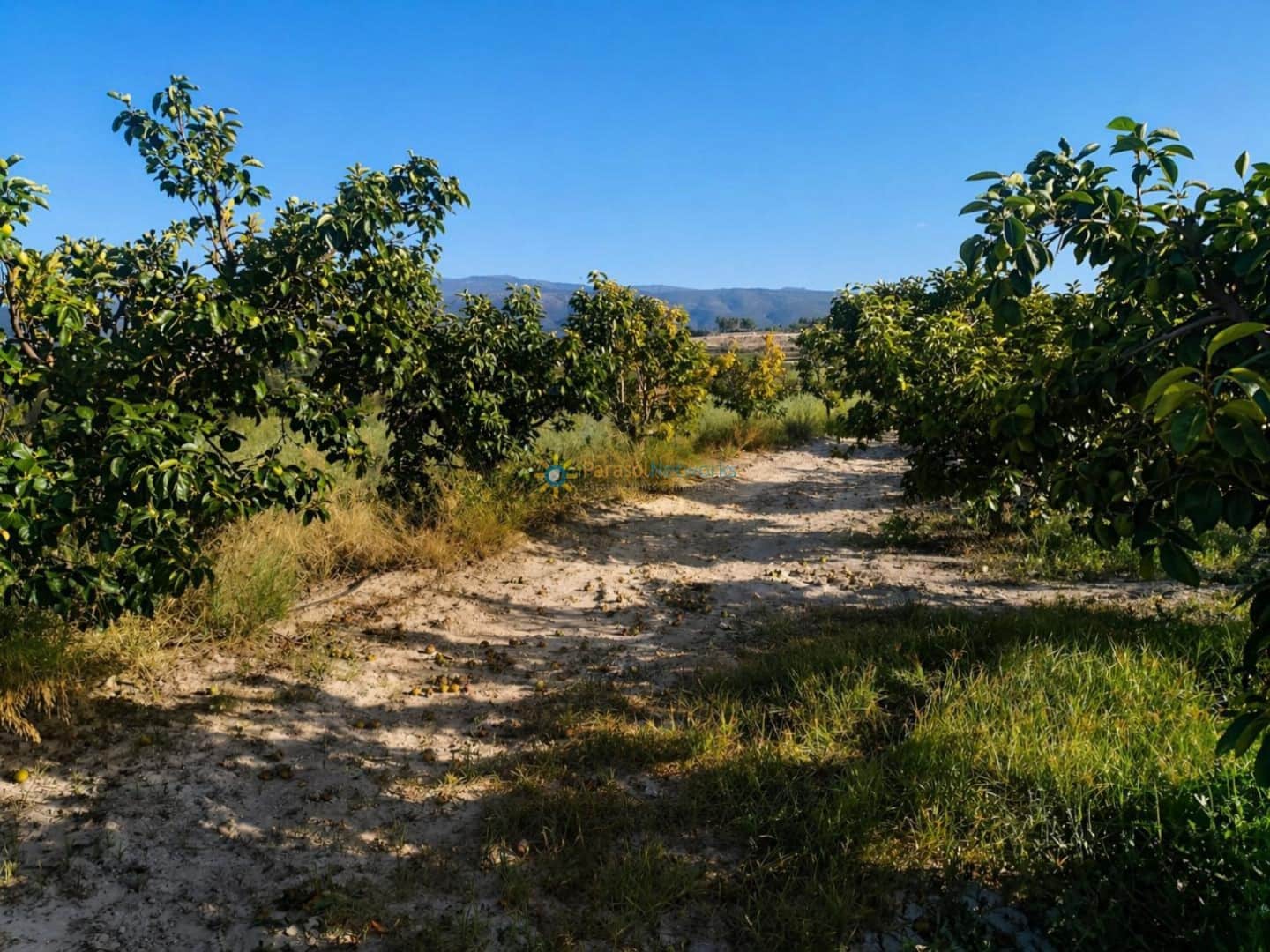 1 camera da letto Casa in vendita in Albaida con garage - 100.000 € (Rif: 9805798)