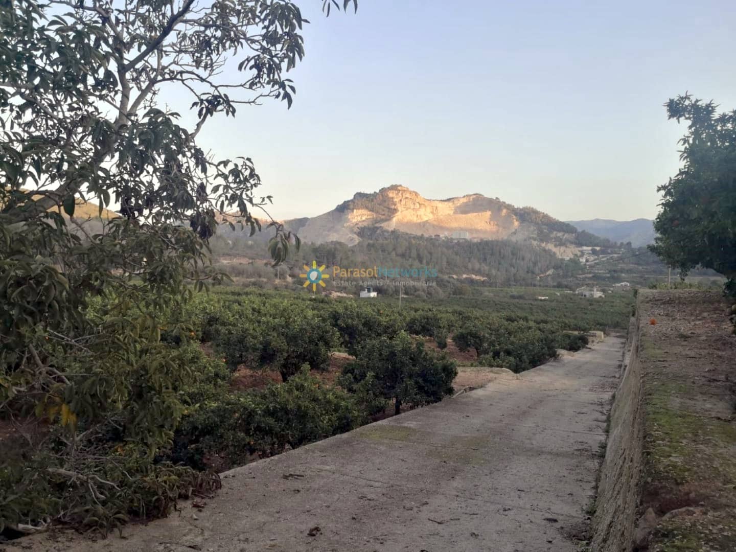 Finca/Landehus til salg i L'Atzuvia - € 375.000 (Ref: 9806761)