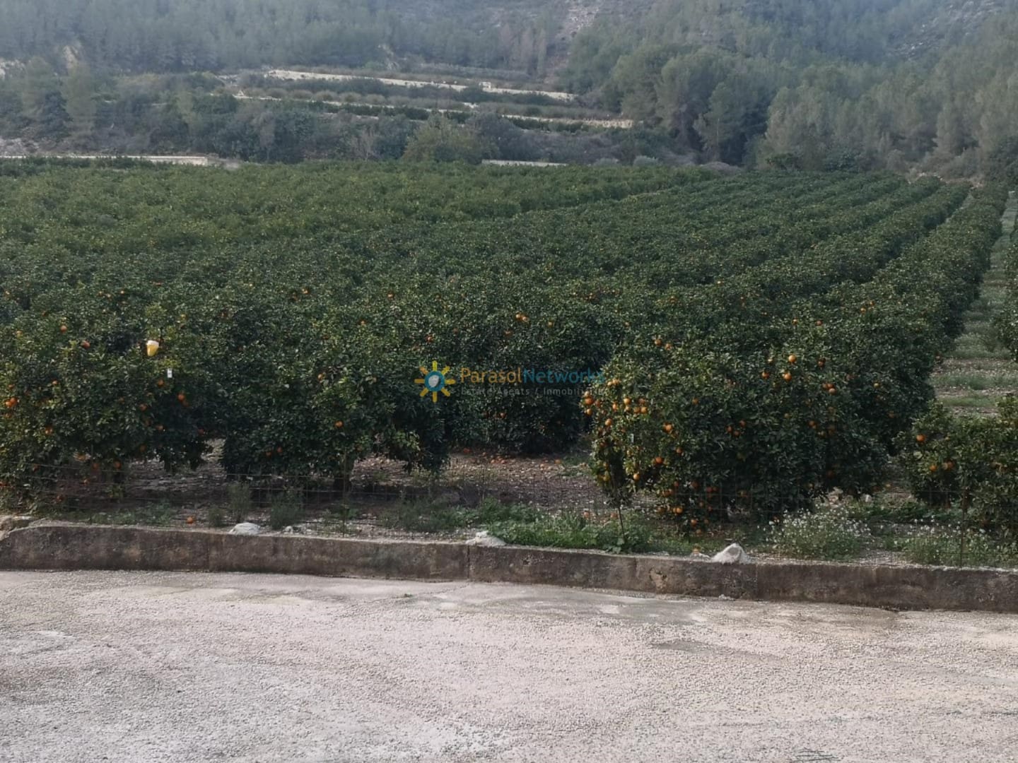 Finca/Landehus til salg i L'Atzuvia - € 375.000 (Ref: 9806761)