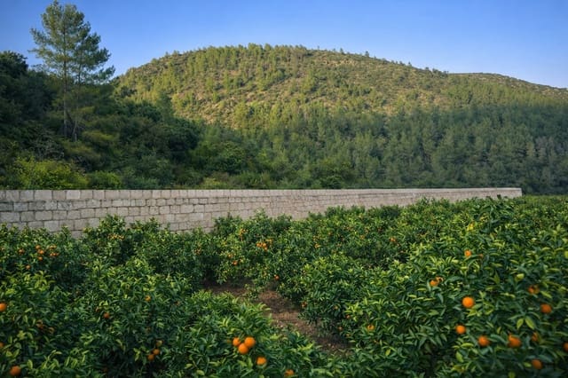 Finca/Landehus til salg i L'Atzúvia - € 375.000 (Ref: 9806761)