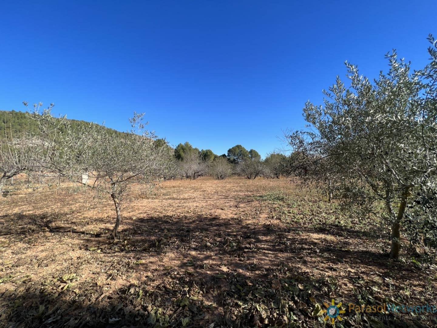 6 Zimmer Villa zu verkaufen in L'Olleria mit Pool - 485.000 € (Ref: 9806909)