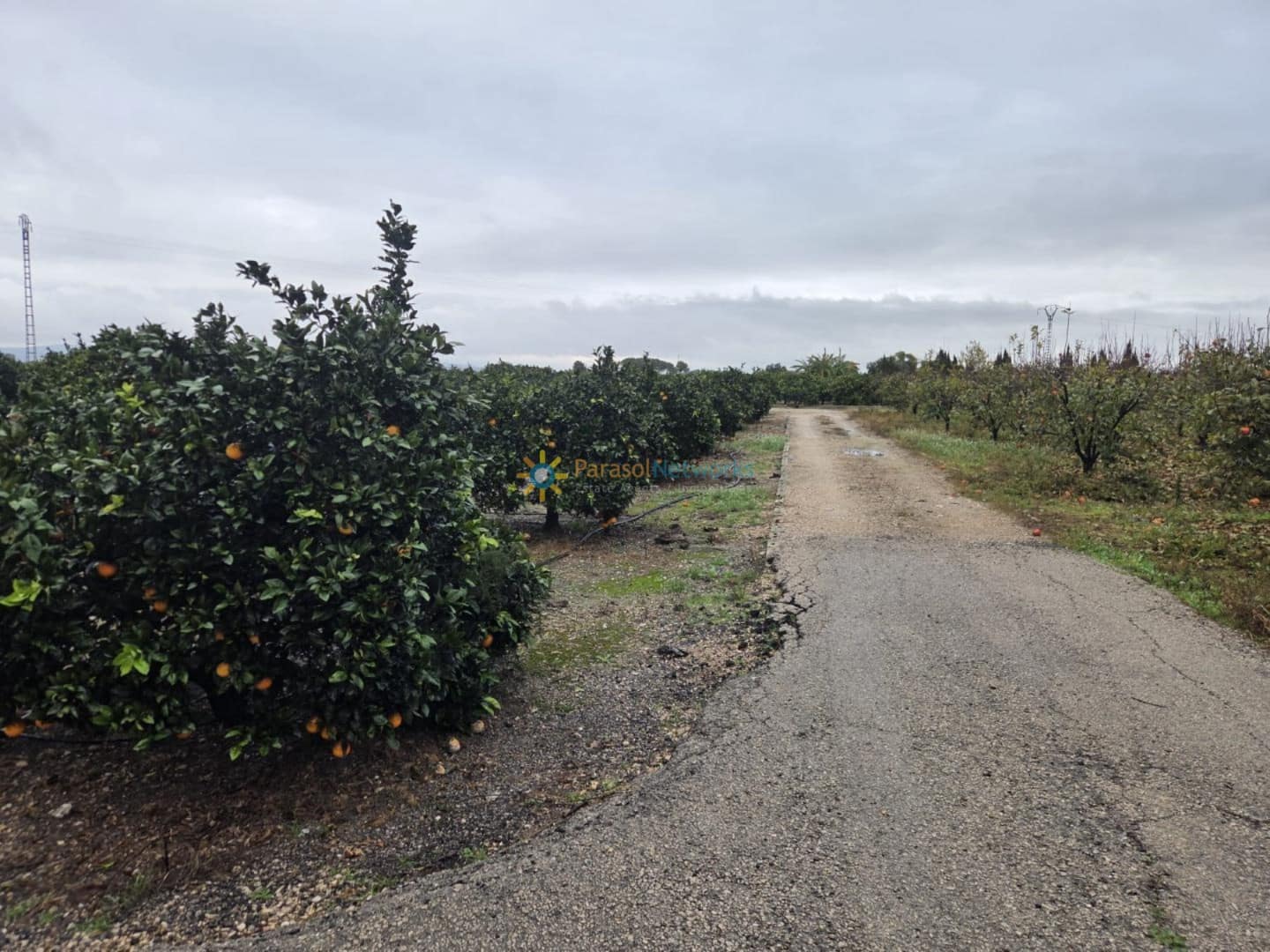 Tontti myytävänä paikassa Senyera - 8 000 € (Ref: 9807066)