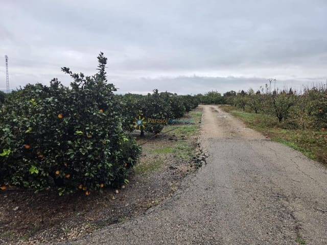 Tontti myytävänä paikassa Senyera - 8 000 € (Ref: 9807066)