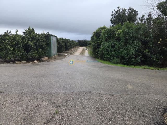 Tontti myytävänä paikassa Senyera - 8 000 € (Ref: 9807066)