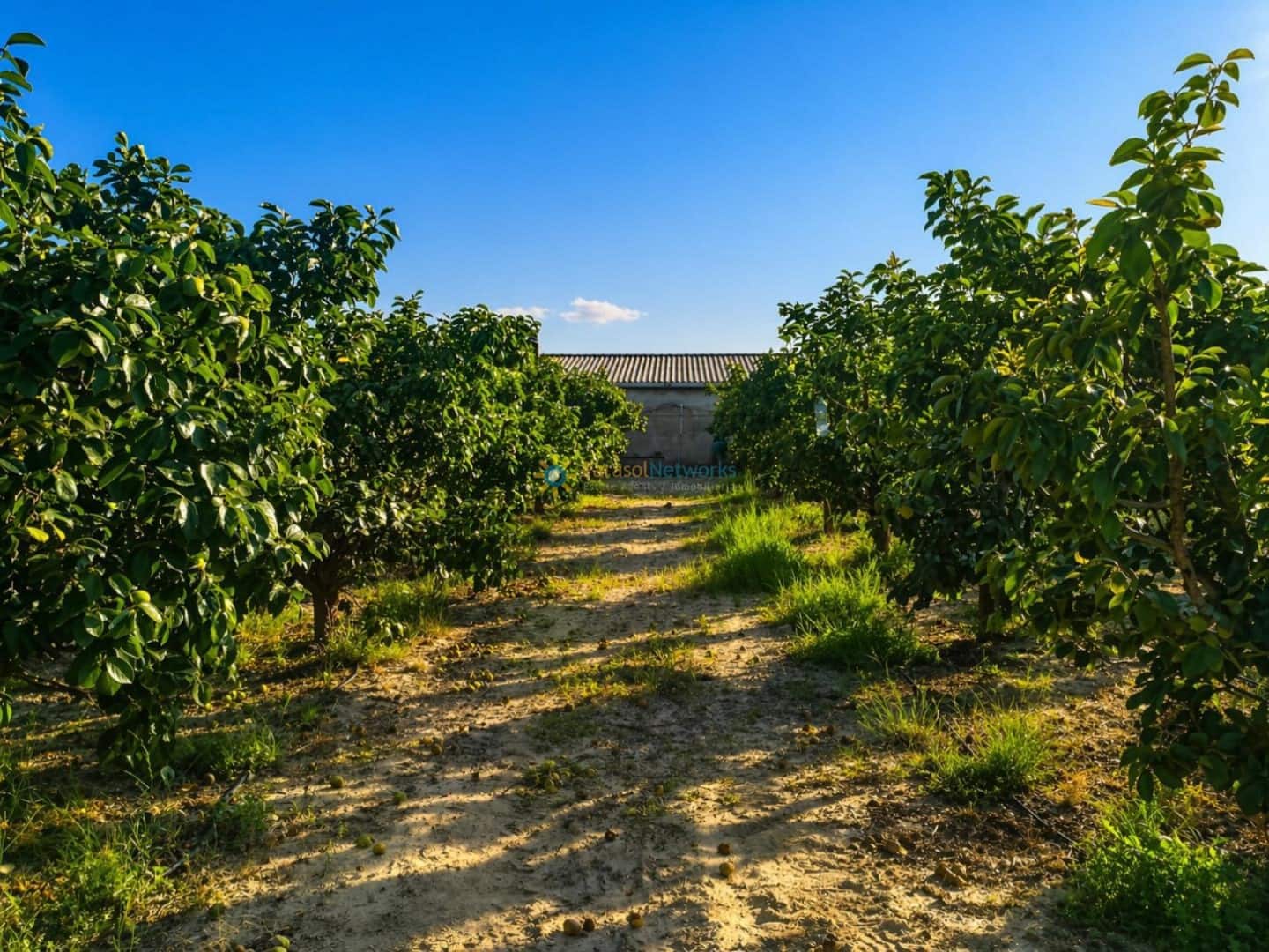 Terreno/Finca Rústica en Albaida en venta - 100.000 € (Ref: 9808348)