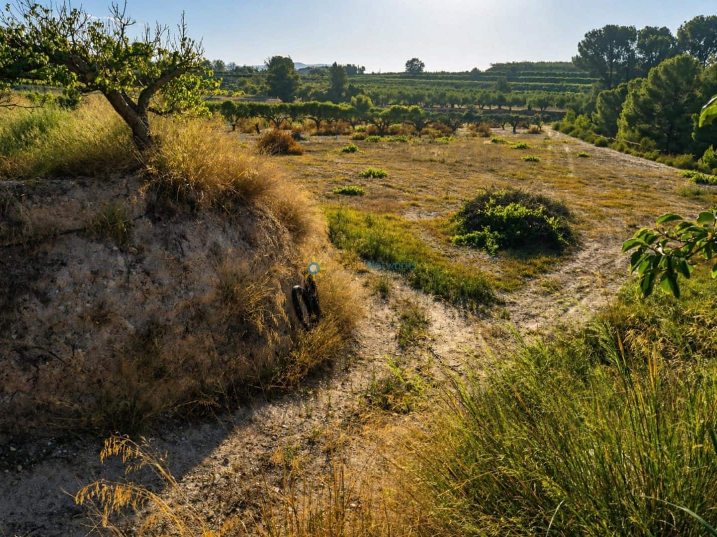 Terreno/Finca Rústica en Albaida en venta - 100.000 € (Ref: 9808348)