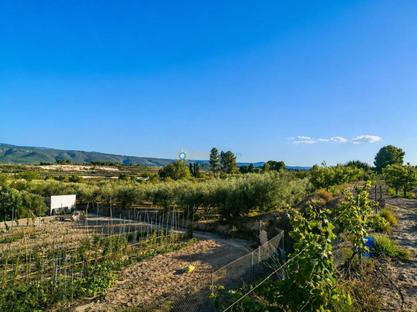 Terreno/Finca Rústica en Albaida en venta - 100.000 € (Ref: 9808348)