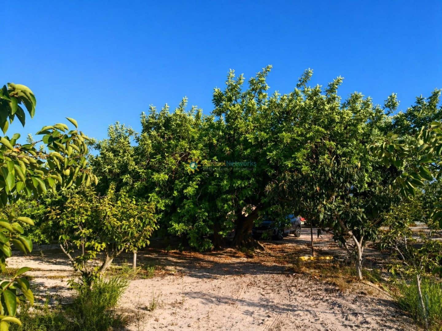 Terreno/Finca Rústica en Albaida en venta - 100.000 € (Ref: 9808348)