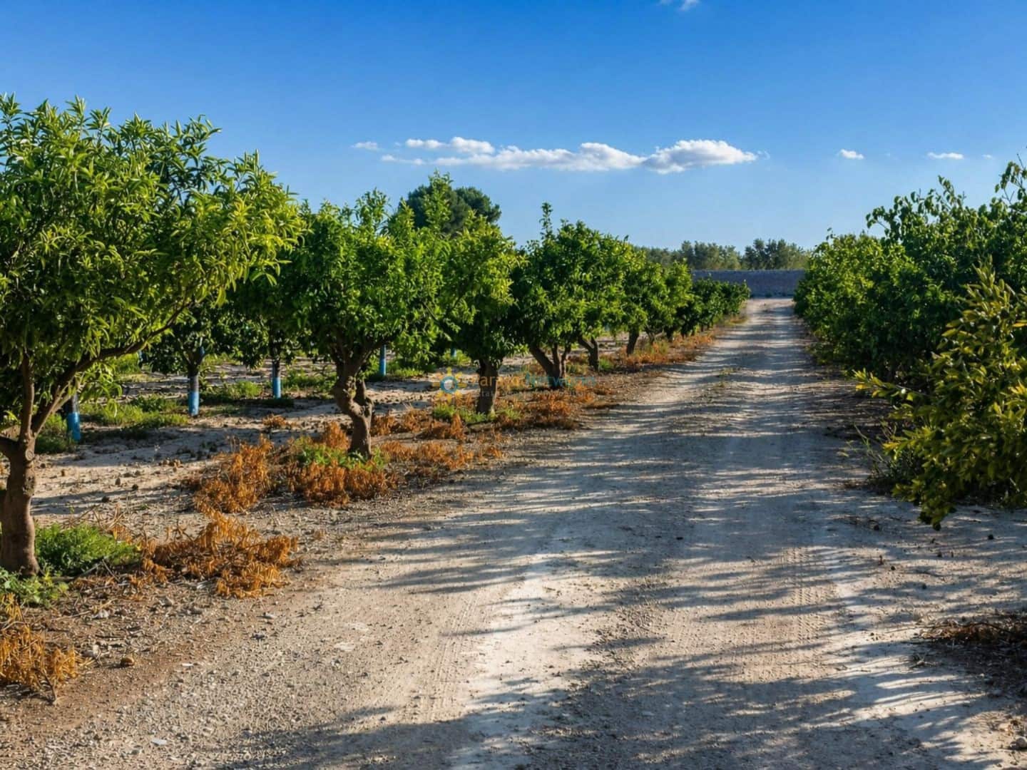 Terreno/Finca Rústica en Albaida en venta - 100.000 € (Ref: 9808348)