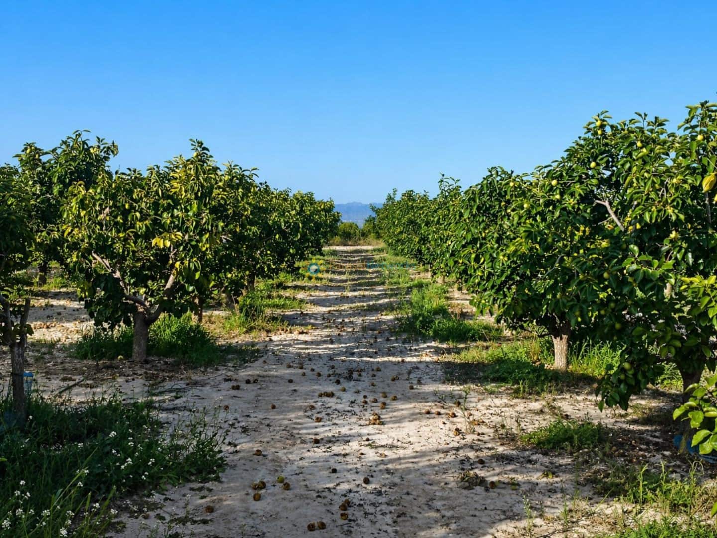 Terreno/Finca Rústica en Albaida en venta - 100.000 € (Ref: 9808348)