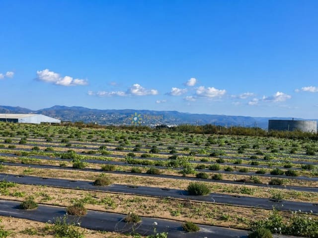 Terreno Não Urbanizado para venda em Benigánim - 69 000 € (Ref: 9809378)