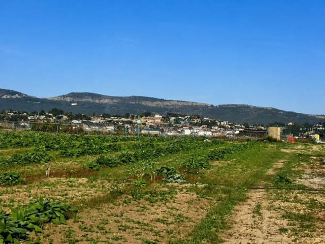 Terreno Não Urbanizado para venda em Benigánim - 69 000 € (Ref: 9809378)
