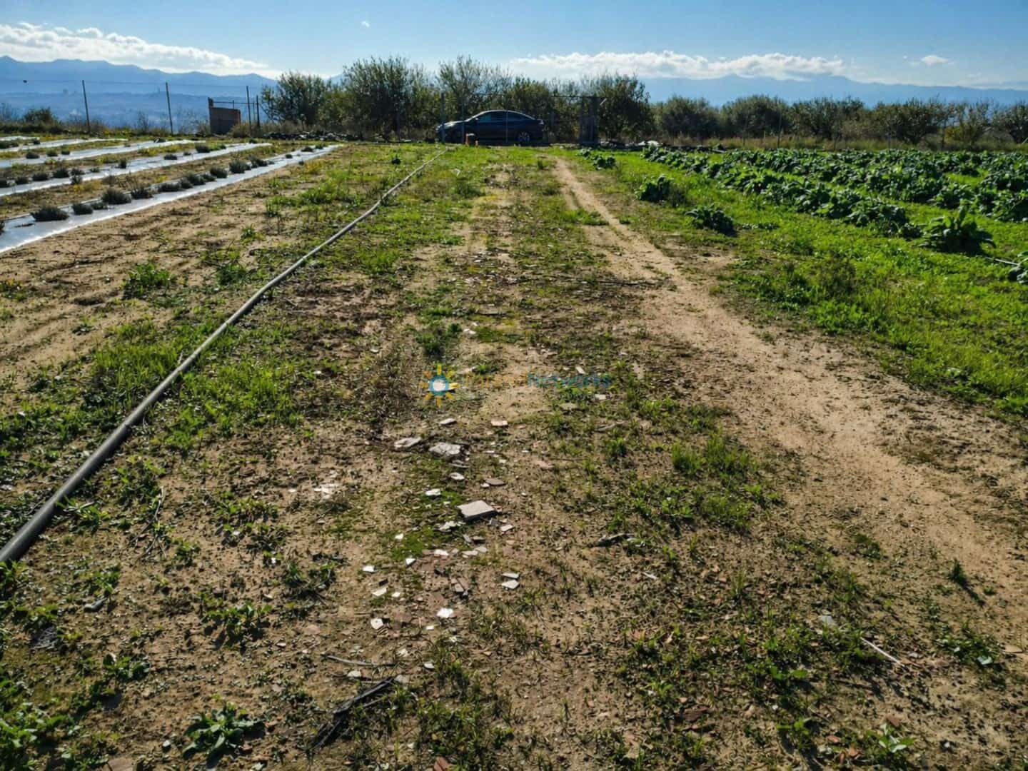 Terreno Não Urbanizado para venda em Beniganim - 69 000 € (Ref: 9809378)