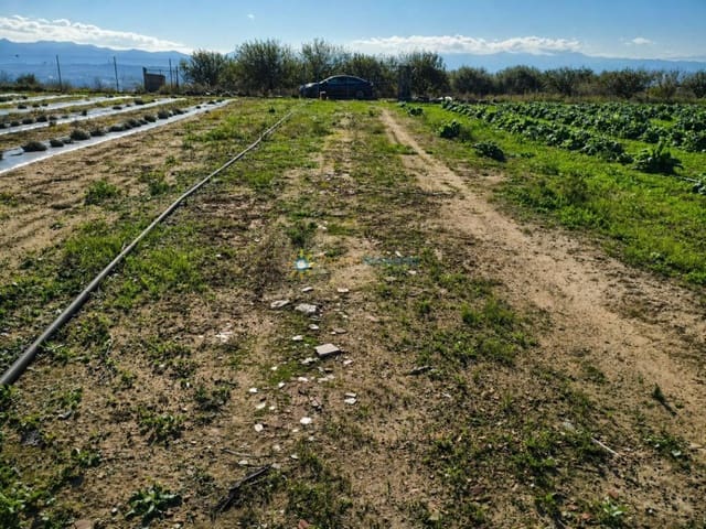 Terreno Não Urbanizado para venda em Benigánim - 69 000 € (Ref: 9809378)