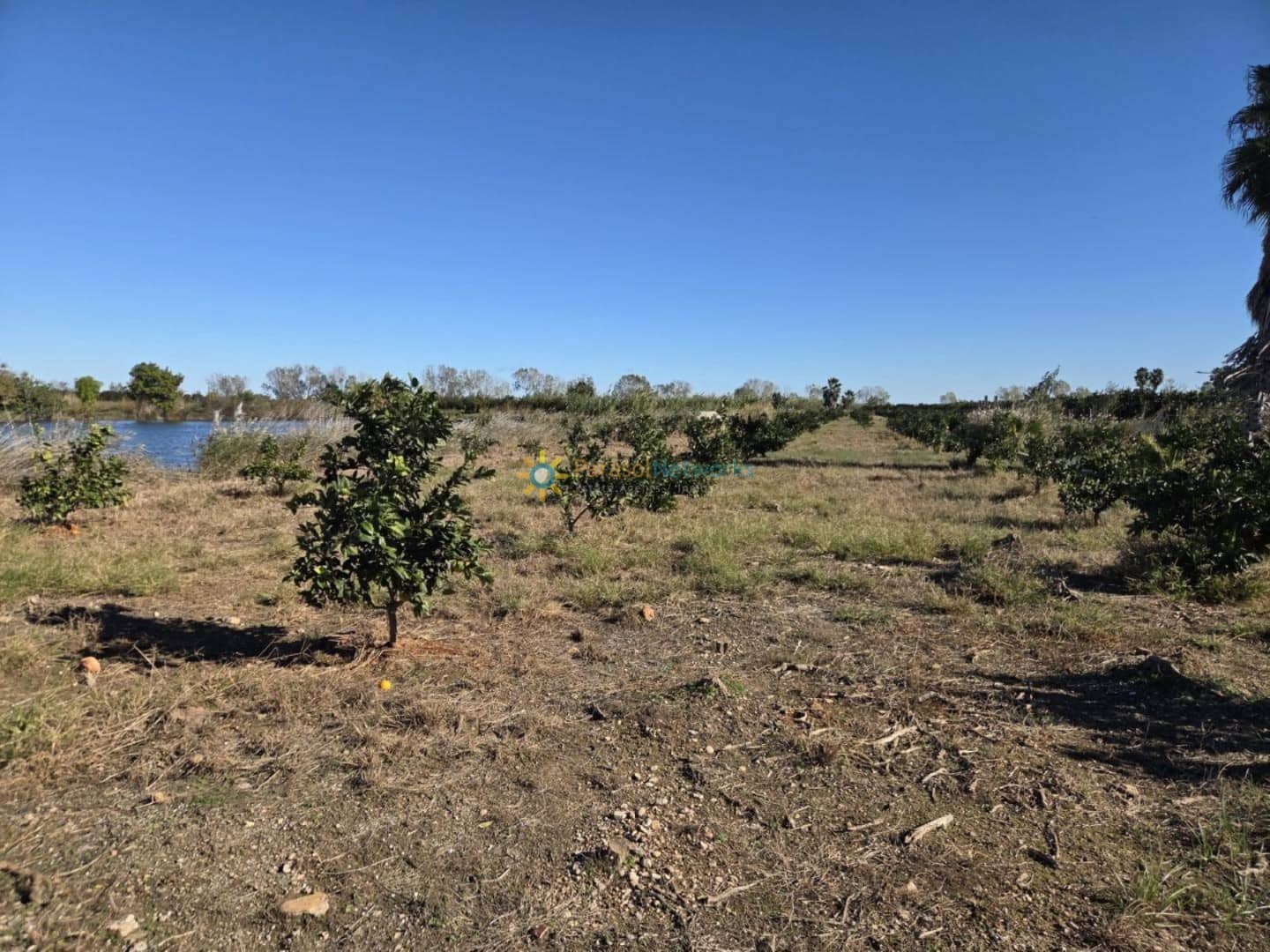 Grunde uden byggetilladelser til salg i Xeraco - € 93.000 (Ref: 9816570)