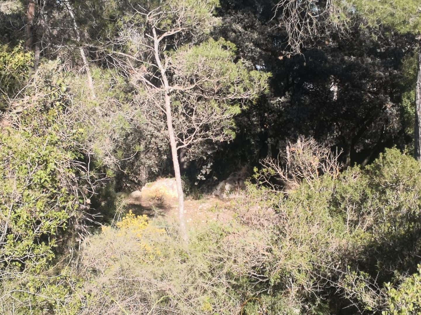 Finca/Country House for sale in Muro de Alcoy with garage - € 150,000 (Ref: 9830301)