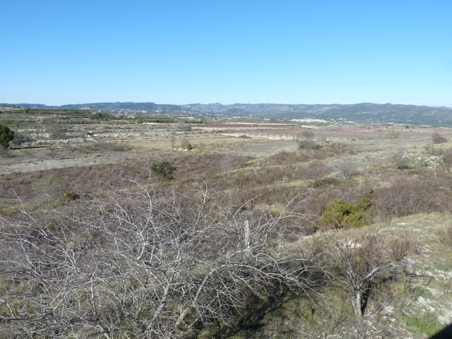 Terreno/Finca Rústica en Castelló de Rugat en venta - 199.000 € (Ref: 9838619)