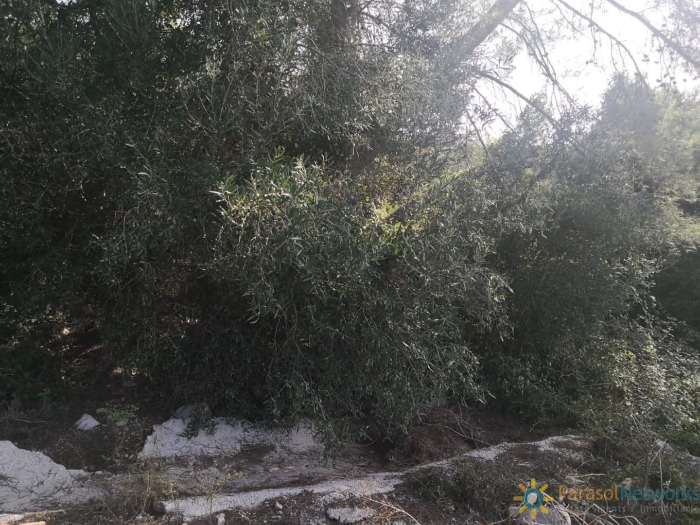 Terreno Não Urbanizado para venda em Villalonga - 60 000 € (Ref: 9844593)