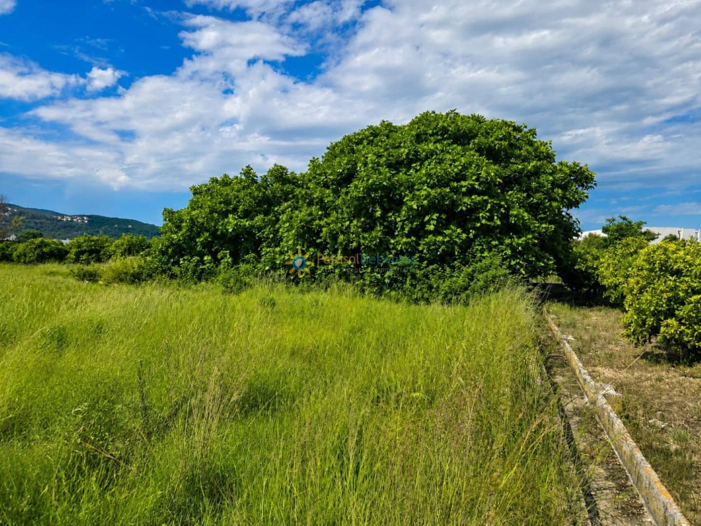 Building Plot for sale in Piles - € 40,000 (Ref: 9863510)