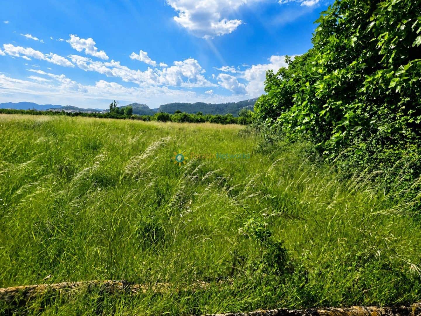 Building Plot for sale in Piles - € 40,000 (Ref: 9863510)