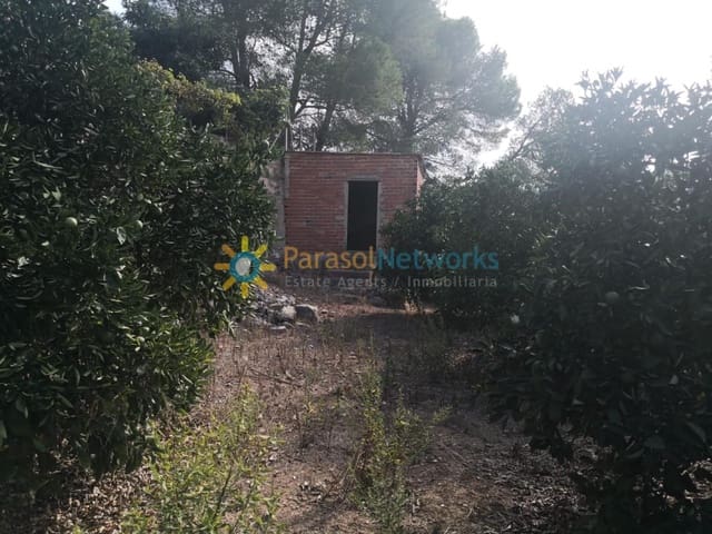 Ubebygd land til salgs i Villalonga - € 60 000 (Ref: 9867960)