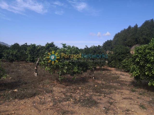 Ubebygd land til salgs i Villalonga - € 60 000 (Ref: 9867960)