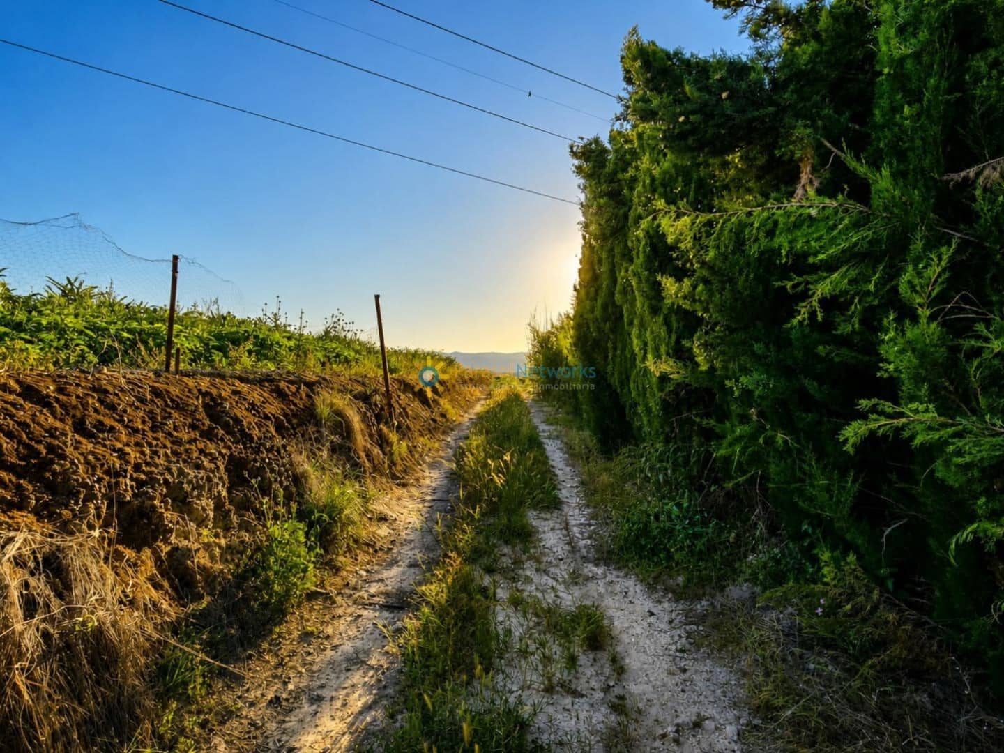Undeveloped Land for sale in Beniganim - € 78,000 (Ref: 9889564)